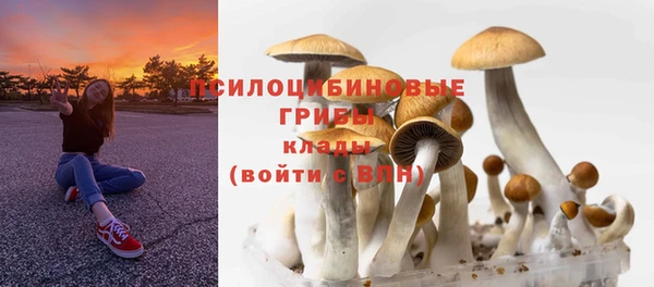 mdma Краснослободск