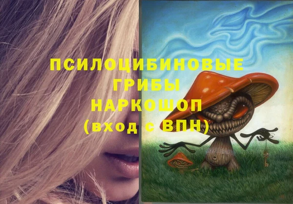 индика Красноперекопск