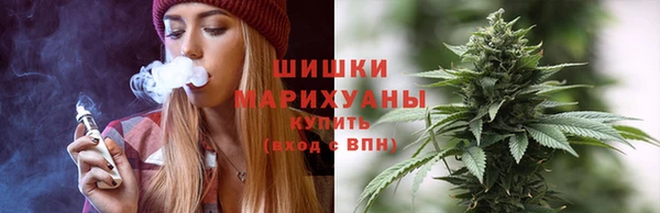 индика Красноперекопск