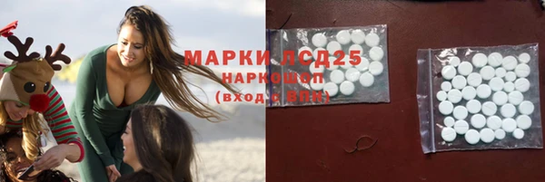 индика Красноперекопск
