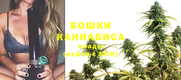индика Красноперекопск