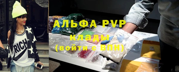 индика Красноперекопск