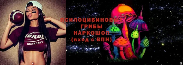 индика Красноперекопск