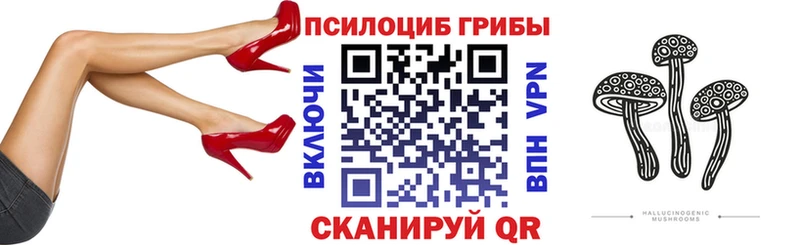Псилоцибиновые грибы MAGIC MUSHROOMS  Купить где  Калининск 